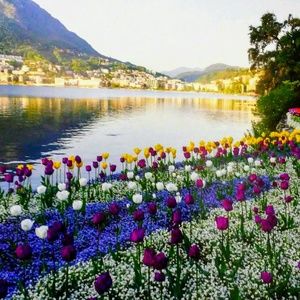 Meet your Posher, Cecily